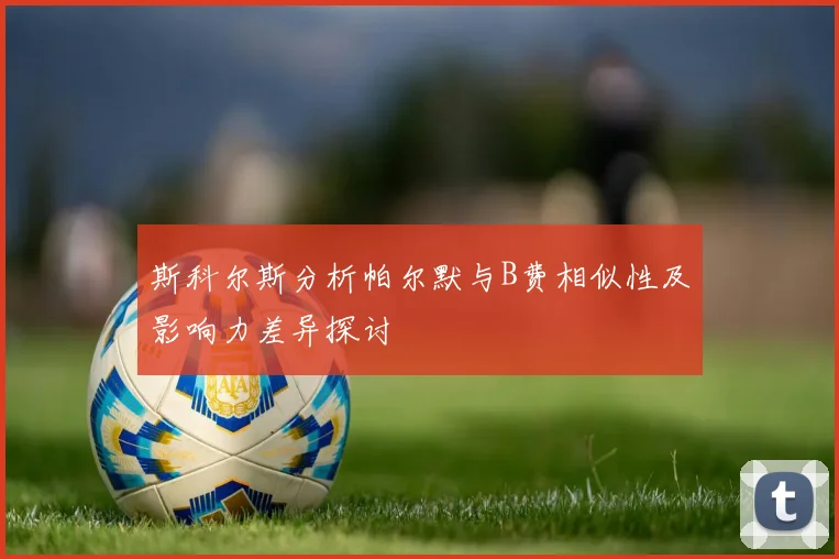 斯科尔斯分析帕尔默与B费相似性及影响力差异探讨