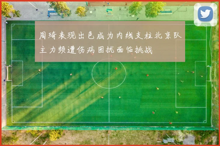 周琦表现出色成为内线支柱北京队主力频遭伤病困扰面临挑战
